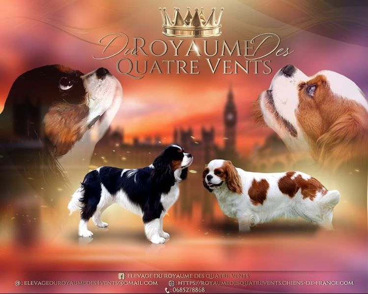 du Royaume des quatre vents - Du Royaume des quatre vents